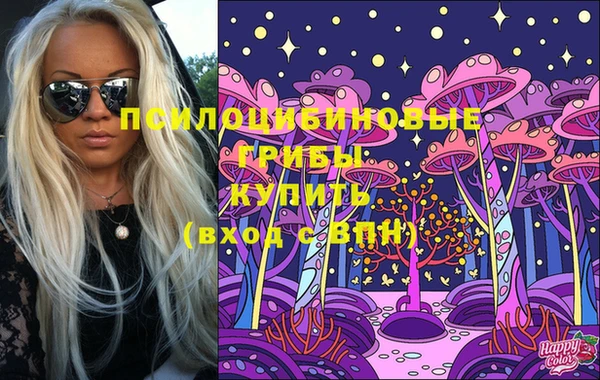 дживик Баксан