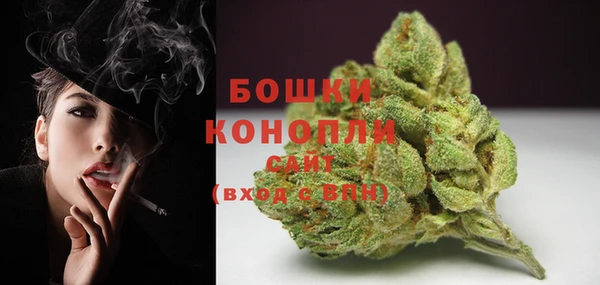 дживик Баксан