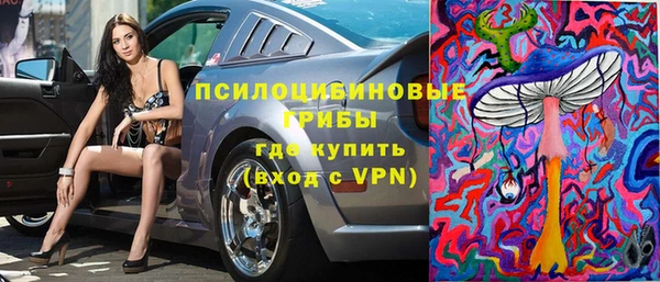 дживик Баксан