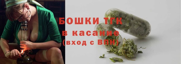 дживик Баксан