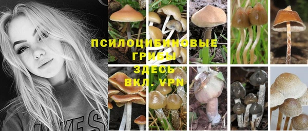 дживик Баксан