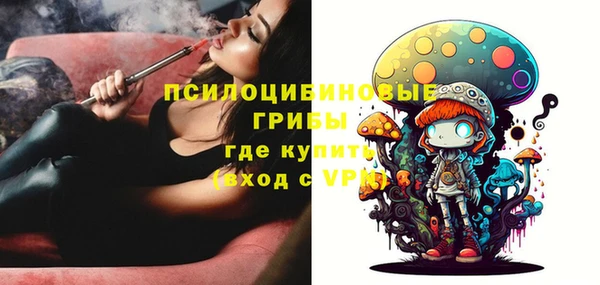 индика Балабаново