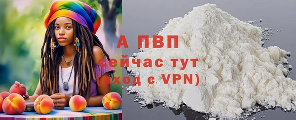 индика Балабаново