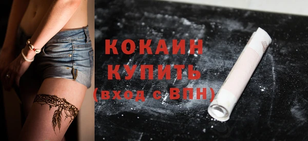 дживик Осинники